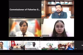 Participants in the online seminar (Screenshot photo: VNA)