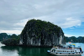 Ha Long Bay in Quang Ninh province ahead of Typhoon Kajiki’s approach. (Photo: VNA)