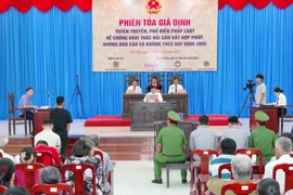 At the mock trial (Photo: VNA)