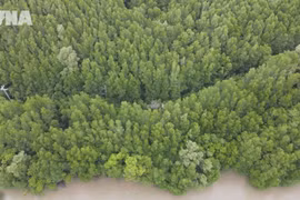 Green transition - inevitable pathway toward sustainable development