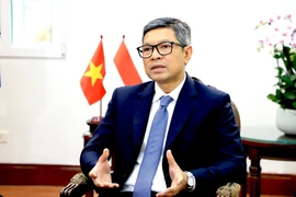 Indonesian Ambassador to Vietnam Denny Abdi at the interview (Photo: VNA)