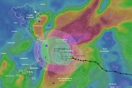 Typhoon Koto: Two scenarios, prolonged impact forecast