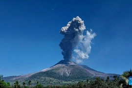 Mount Lewotobi Laki-laki volcano in Indonesia's East Nusa Tenggara province erupts on October 1. (Photo: Xinhua)