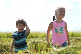 Cuban children play on a rice field in Cuba (Photo: VNA)