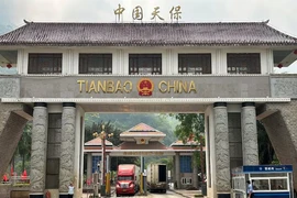 Container trucks cross the Tianbao port, a border crossing between China and Vietnam, in Malipo county, Wenshan prefecture, Yunnan province, China May 8, 2025. (Photo: REUTERS)