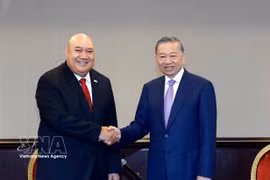 Top Vietnamese leader meets Philippines-based organisations, businesses