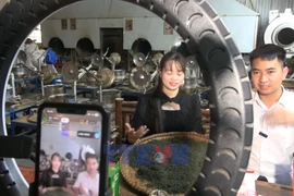 Digital transformation boosts collective economy development