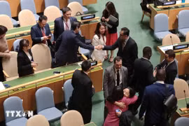 UN Human Rights Council 2026–2028: Vietnam commits to addressing shared human rights concerns 