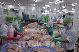Seafood processing generates a large volume of by-products. (Illustrative photo: VNA)