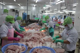 Seafood processing generates a large volume of by-products. (Illustrative photo: VNA)