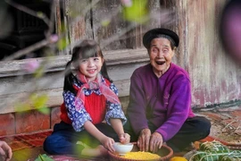 Vietnam is entering an ageing population stage. (Photo: VNA)
