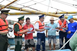 Ho Chi Minh City tightens fleet management, ready to welcome EC inspectors