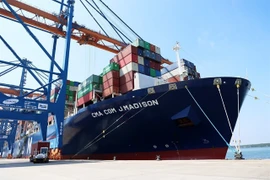 A container ship at Gemalink International Port. (Photo: VNA)