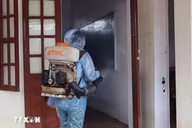 Vietnam emerges as “One Health” frontrunner in disease control