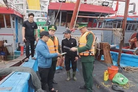 Nghe An tightens monitoring of fishing vessels to address IUU “yellow card”