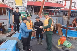 Nghe An tightens monitoring of fishing vessels to address IUU “yellow card”