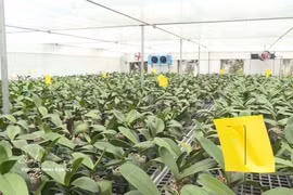 Thanh Hoa farmers embrace digital transformation