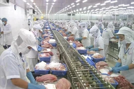Workers process fish for export. (Photo: VNA) 