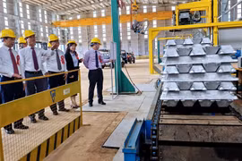 Vietnam’s first aluminum ingot products unveiled