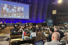 Moment of the World Heritage Committee’s recognition. (Photo: VNA)