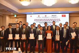 Numerous MoUs and cooperation agreements are signed during the conference. (Photo: VNA)