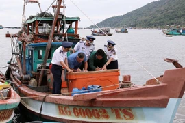 Owners of fishing vessels sign commitments not to engaging in illegal, unreported and unregulated (IUU) fishing. (Photo: VNA)