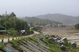 Mang But commune in the central province of Quang Ngai. (Photo: VNA)