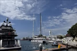 Port of Benoa, Indonesia (Photo: VNA)