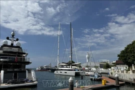 Port of Benoa, Indonesia (Photo: VNA)
