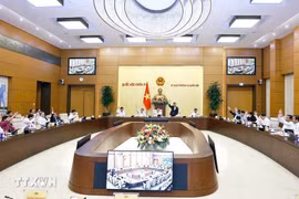 Full-time legislators vote at a session of the National Assembly Standing Committee. (Photo: VNA)