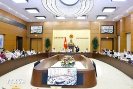 Full-time legislators vote at a session of the National Assembly Standing Committee. (Photo: VNA)