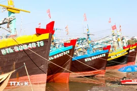 Lam Dong steps up oversight to curb IUU fishing