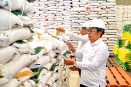 Head of the National Food Agency (Bapanas), Arief Prasetyo Adi (right), inspects the Perum Bulog warehouse (Photo: Antara)