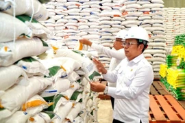 Head of the National Food Agency (Bapanas), Arief Prasetyo Adi (right), inspects the Perum Bulog warehouse (Photo: Antara)
