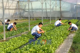 Self-sufficient model reinforces soldiers' readiness