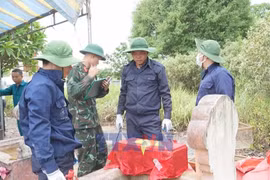 Ha Tinh steps up efforts to identify fallen soldiers through DNA testing