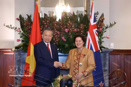 Vietnamese leader meets New Zealand Governor General, House Speaker