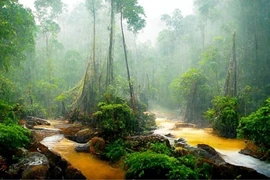 Kuamut Rainforest Conservation Project, Malaysia (Photo: aseancarboncredit)