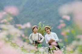 Ha Giang captivates tourists with its unique cultural identity and stunning natural landscapes. (Photo: VietnamPlus)
