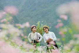 Ha Giang captivates tourists with its unique cultural identity and stunning natural landscapes. (Photo: VietnamPlus)