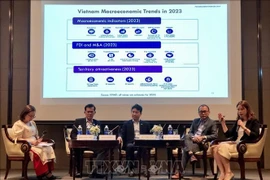 Representatives from industry associations share insights on Vietnam’s market trends. (Photo: VNA)