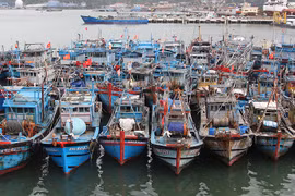 Da Nang moves towards eliminating IUU violations