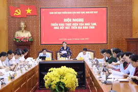 At the conference (Photo: VNA)
