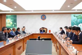 At the meeting (Photo: VNA)