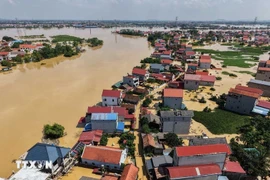 Flooding following Typhoon Matmo has caused damage worth over 8.72 trillion VND, with more than 12,230 houses still inundated. (Photo: VNA) 