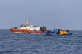 Law enforcement forces patrol and inspect fishing vessels at sea. (Illustrative photo: VNA)
