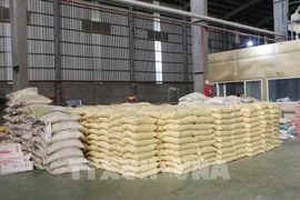The Prime Minister has ordered measures to boost rice production and exports. (Photo: VNA)
