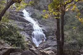 Thac Lua Waterfall captivates with pristine beauty 