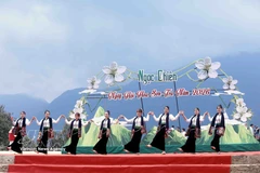 Vibrant Son tra blossom festival in Son La