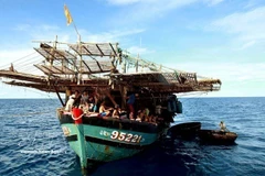 Da Nang strengthens compliance with IUU fishing regulations